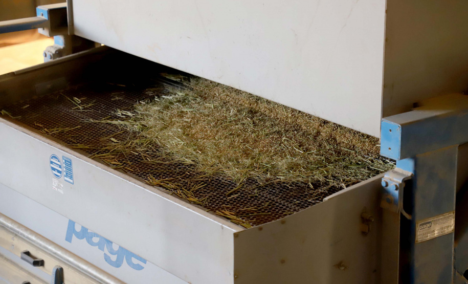 Colheita de arroz - Fazendas Volta Grande e Nova Brasília.Foto: Ari Dias/AEN