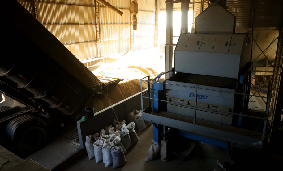 Colheita de arroz - Fazendas Volta Grande e Nova Brasília.Foto: Ari Dias/AEN