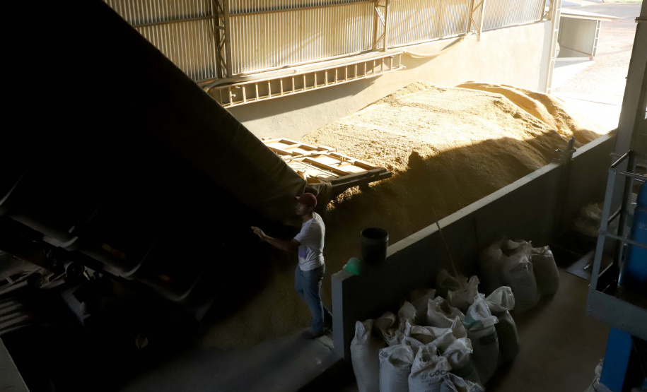 Colheita de arroz - Fazendas Volta Grande e Nova Brasília.Foto: Ari Dias/AEN