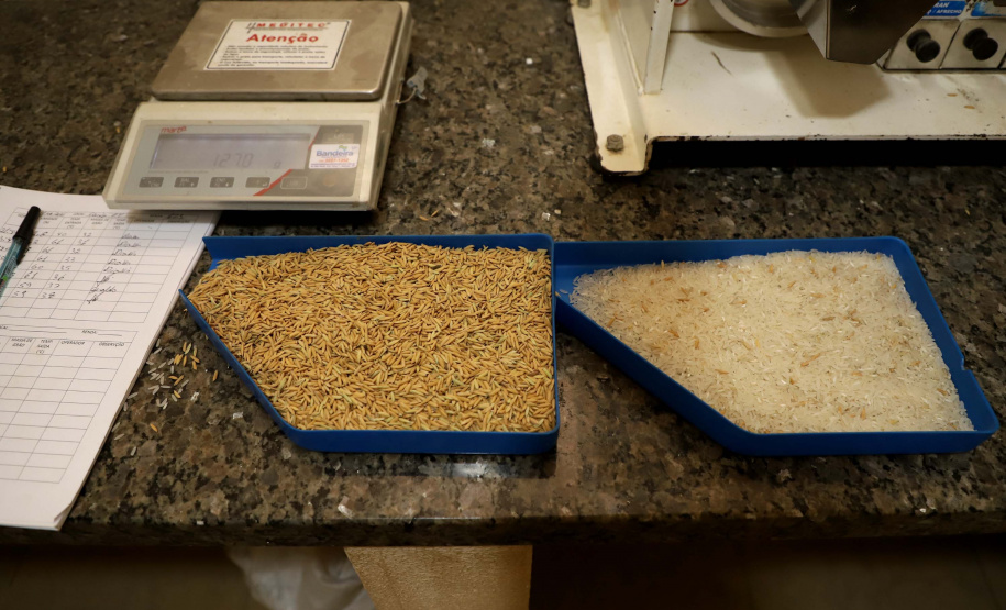 Colheita de arroz - Fazendas Volta Grande e Nova Brasília.Foto: Ari Dias/AEN