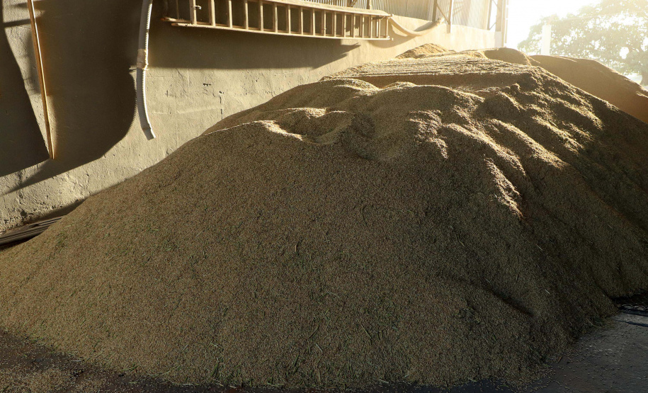 Colheita de arroz - Fazendas Volta Grande e Nova Brasília.Foto: Ari Dias/AEN