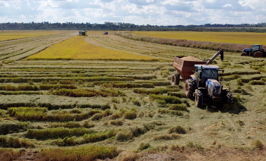 Colheita de arroz - Fazendas Volta Grande e Nova Brasília.Foto: Ari Dias/AEN