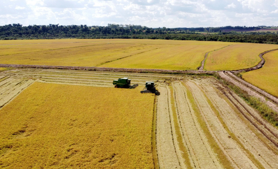 Colheita de arroz - Fazendas Volta Grande e Nova Brasília.Foto: Ari Dias/AEN