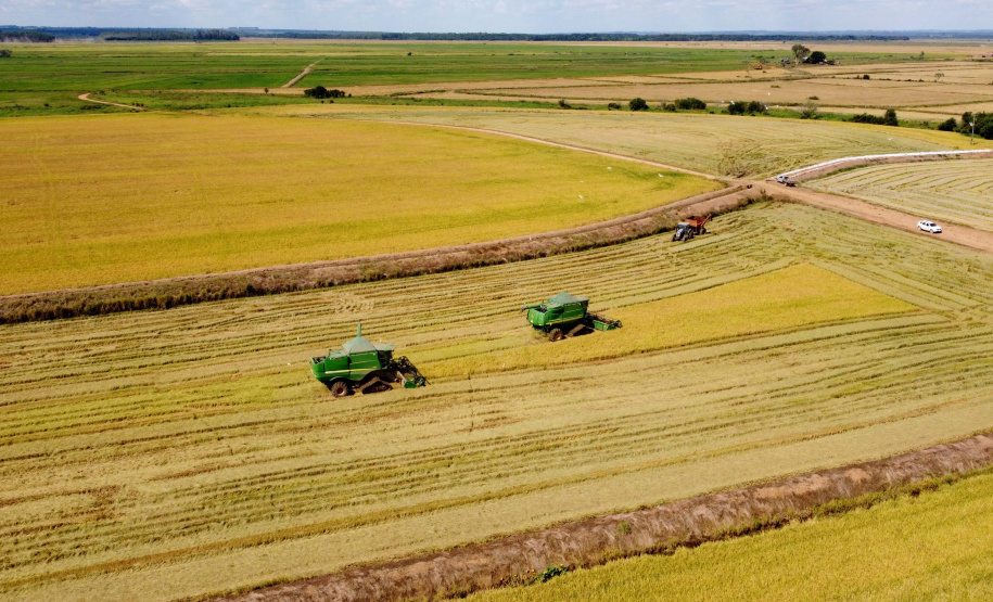 Colheita de arroz - Fazendas Volta Grande e Nova Brasília.Foto: Ari Dias/AEN