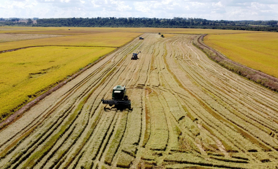 Colheita de arroz - Fazendas Volta Grande e Nova Brasília.Foto: Ari Dias/AEN