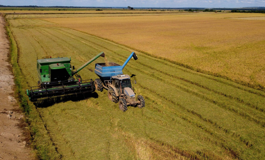 Colheita de arroz - Fazendas Volta Grande e Nova Brasília.Foto: Ari Dias/AEN