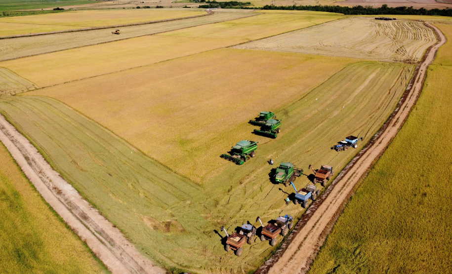 Colheita de arroz - Fazendas Volta Grande e Nova Brasília.Foto: Ari Dias/AEN
