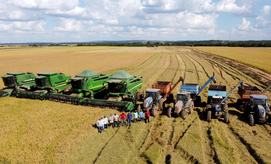 Colheita de arroz - Fazendas Volta Grande e Nova Brasília.Foto: Ari Dias/AEN