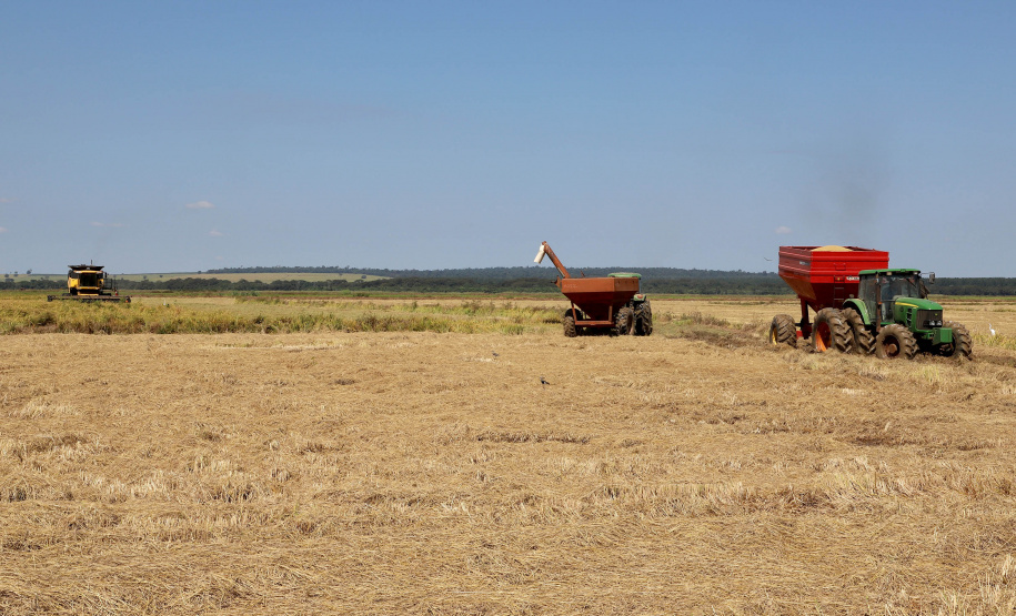 Fazenda Bassani em Santa Isabel do Ivaí. Foto: Ari Dias/AEN