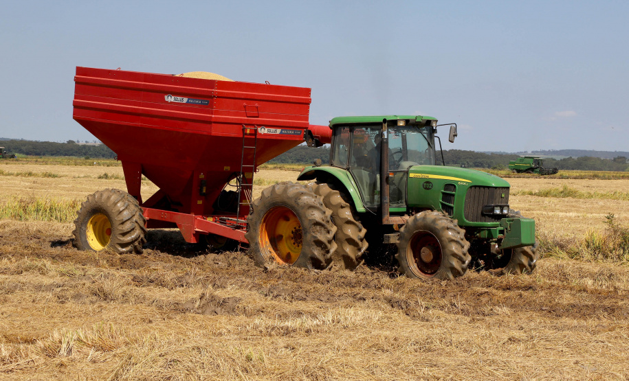 Fazenda Bassani em Santa Isabel do Ivaí. Foto: Ari Dias/AEN