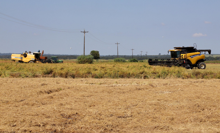 Fazenda Bassani em Santa Isabel do Ivaí. Foto: Ari Dias/AEN