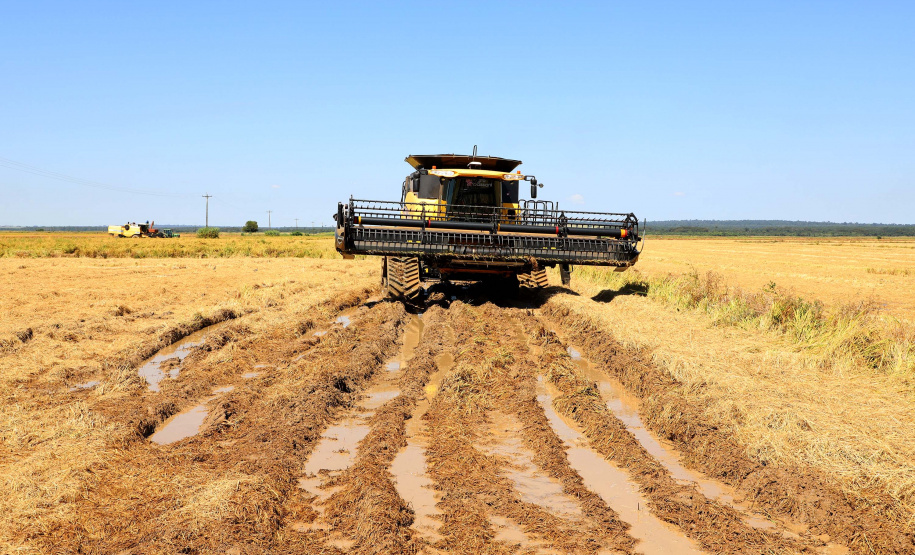 Fazenda Bassani em Santa Isabel do Ivaí. Foto: Ari Dias/AEN