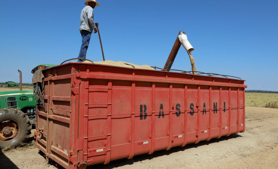 Fazenda Bassani em Santa Isabel do Ivaí. Foto: Ari Dias/AEN