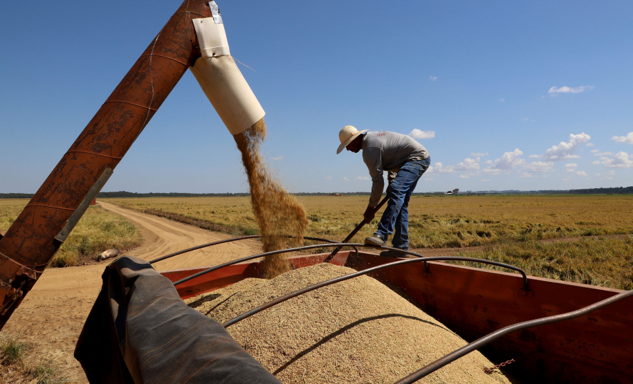 Fazenda Bassani em Santa Isabel do Ivaí. Foto: Ari Dias/AEN