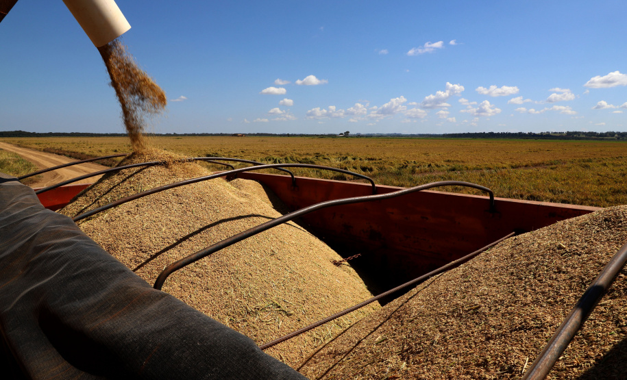 Fazenda Bassani em Santa Isabel do Ivaí. Foto: Ari Dias/AEN