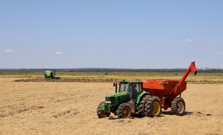 Fazenda Bassani em Santa Isabel do Ivaí. Foto: Ari Dias/AEN