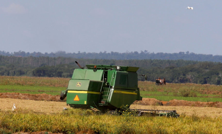 Fazenda Bassani em Santa Isabel do Ivaí. Foto: Ari Dias/AEN