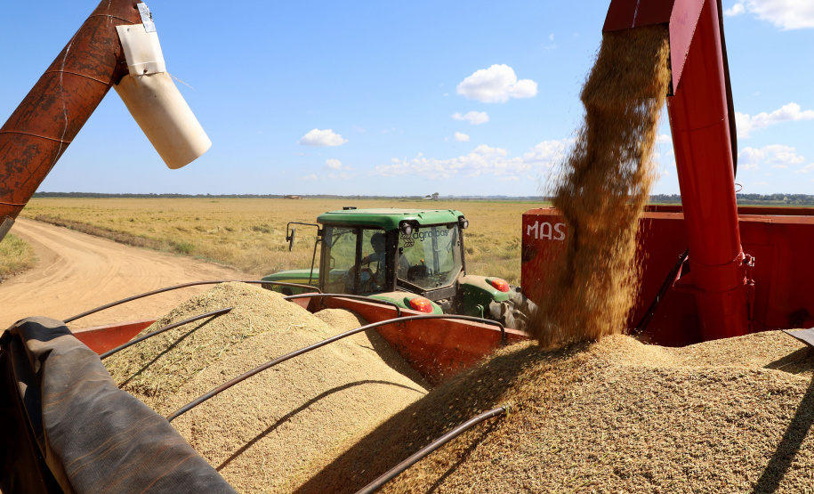Fazenda Bassani em Santa Isabel do Ivaí. Foto: Ari Dias/AEN