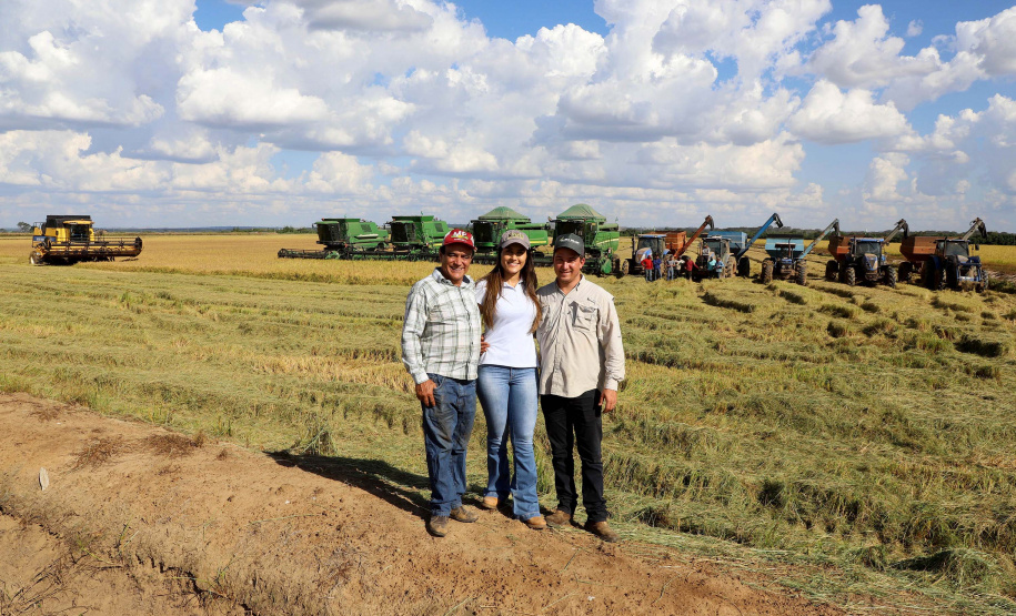 Colheita de arroz - Fazendas Volta Grande e Nova Brasília.Poliana Ramilde. Foto: Ari Dias/AEN