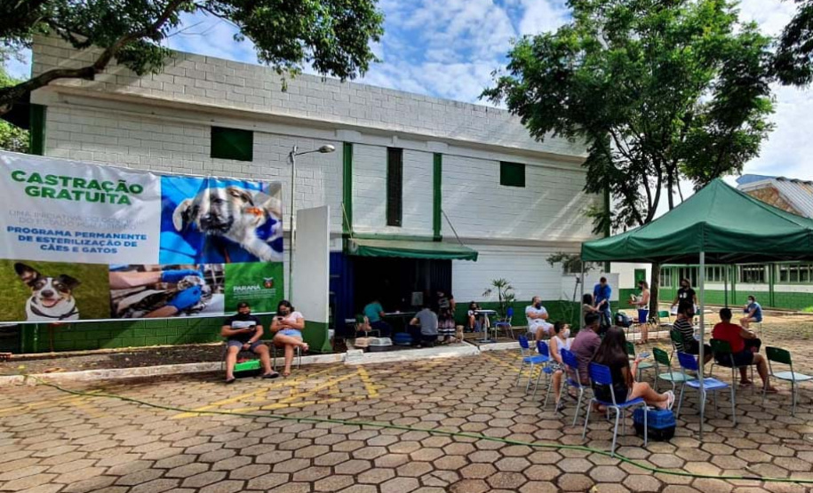O CastraPet, Programa Permanente de Esterilização de Cães e Gatos, estará em Piraquara, entre os dias 25 e 29 de maio, para castrar mais de 700 animais domésticos no município. Foto:SEDEST