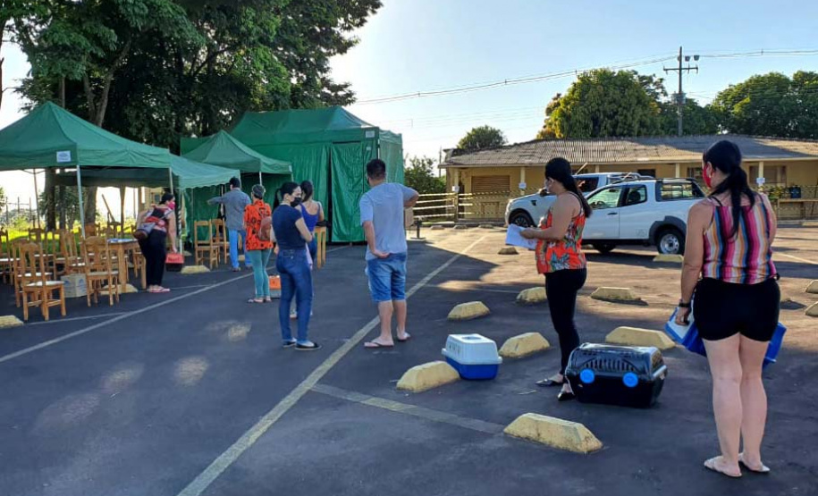 O CastraPet, Programa Permanente de Esterilização de Cães e Gatos, estará em Piraquara, entre os dias 25 e 29 de maio, para castrar mais de 700 animais domésticos no município. Foto:SEDEST