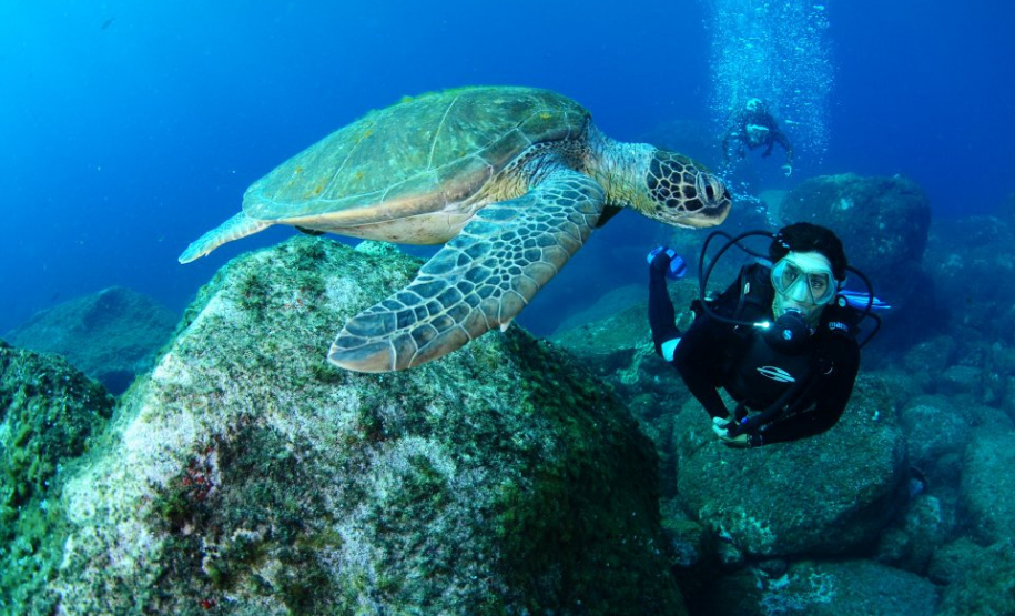Programas e ações de conservação e restauração garantem a biodiversidade do Paraná. Foto: Denis Ferreira Netto/SEDEST