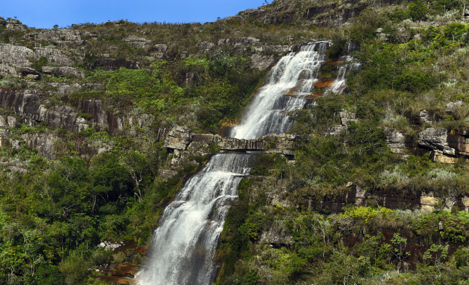 Programas e ações de conservação e restauração garantem a biodiversidade do Paraná. Foto: Denis Ferreira Netto/SEDEST