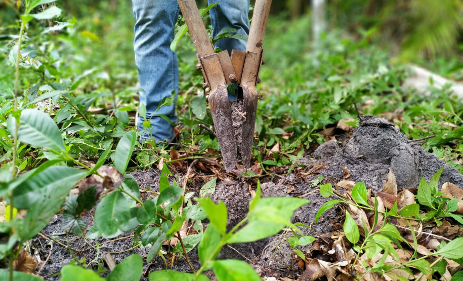 Programas e ações de conservação e restauração garantem a biodiversidade do Paraná.
Foto: Denis Ferreira Netto/SEDEST