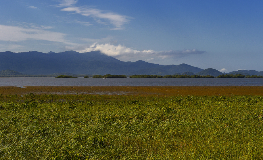 Programas e ações de conservação e restauração garantem a biodiversidade do Paraná. Foto: Denis Ferreira Netto/SEDEST