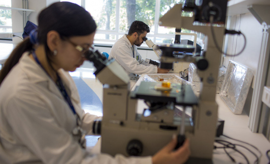 Em Guaíra, Sanepar faz mais de 555 análises por mês na água potável
. Foto: Bruno Covello/Arquivo Sanepar-AEN