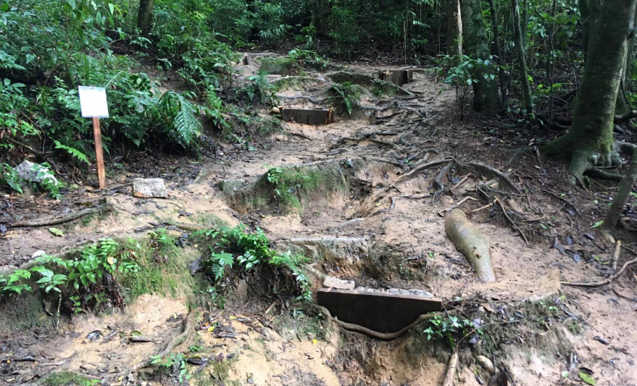 As trilhas do Parque Estadual Pico do Paraná e do Morro do Anhangava, atrativo do Parque Estadual Serra da Baitaca, receberam manutenção através de voluntários, neste final de semana. Ambos estão localizados na Região Metropolitana de Curitiba (RMC). -  Curitiba, 14/05/2021  -  Foto: Divulgação SEDEST