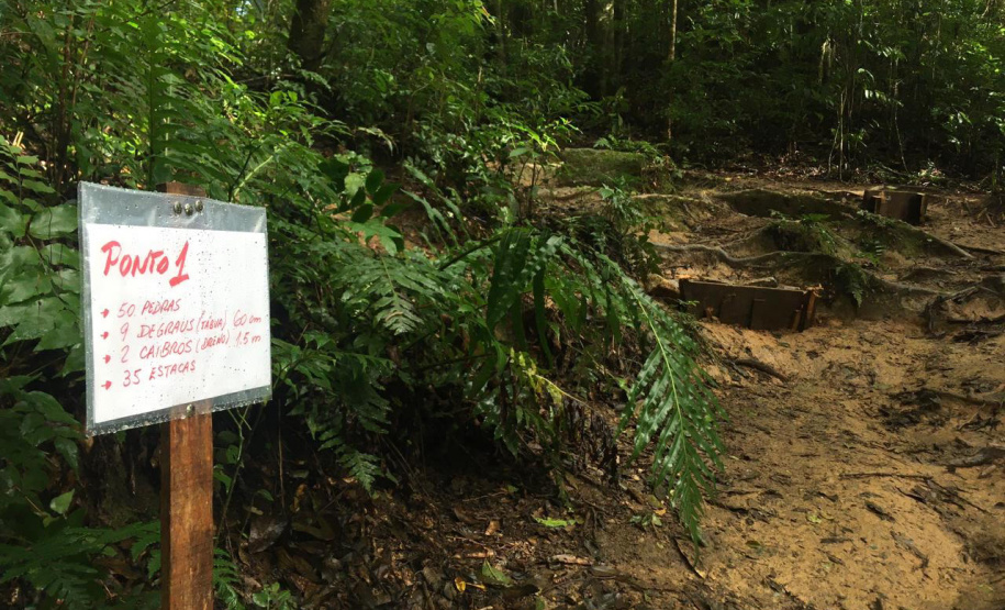 As trilhas do Parque Estadual Pico do Paraná e do Morro do Anhangava, atrativo do Parque Estadual Serra da Baitaca, receberam manutenção através de voluntários, neste final de semana. Ambos estão localizados na Região Metropolitana de Curitiba (RMC). -  Curitiba, 14/05/2021  -  Foto: Divulgação SEDEST