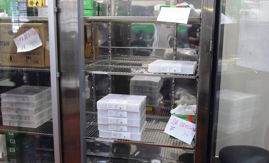 O Governo do Estado descentralizou vacinas contra a Covid-19 da Pfizer/BioNTech para nove municípios do Paraná nesta segunda-feira (24). Ao todo 39.780 doses foram distribuídas para Curitiba, Ponta Grossa, Guarapuava, Foz do Iguaçu, Araucária, Campo Largo, São José dos Pinhais, Colombo e Pinhais. -  24/05/2021  -  Foto: Américo Antonio/SESA