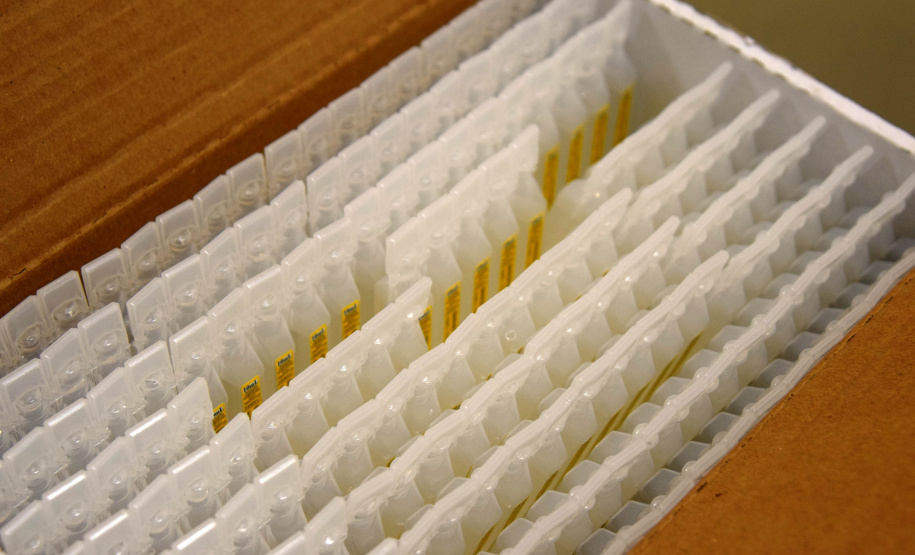 O Governo do Estado descentralizou vacinas contra a Covid-19 da Pfizer/BioNTech para nove municípios do Paraná nesta segunda-feira (24). Ao todo 39.780 doses foram distribuídas para Curitiba, Ponta Grossa, Guarapuava, Foz do Iguaçu, Araucária, Campo Largo, São José dos Pinhais, Colombo e Pinhais. -  24/05/2021  -  Foto: Américo Antonio/SESA