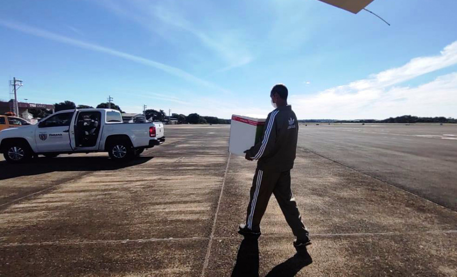 O Governo do Estado descentralizou vacinas contra a Covid-19 da Pfizer/BioNTech para nove municípios do Paraná nesta segunda-feira (24). Ao todo 39.780 doses foram distribuídas para Curitiba, Ponta Grossa, Guarapuava, Foz do Iguaçu, Araucária, Campo Largo, São José dos Pinhais, Colombo e Pinhais. - 24/05/2021 - Foto: DSivulgação SESA