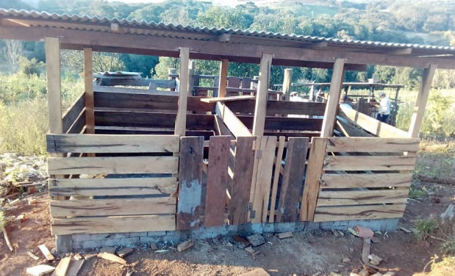 IDR-Paraná desenvolve projetos para inclusão produtiva de famílias vulneráveis - Foto: IDR