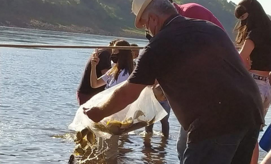 Em quatro meses, rios do Paraná são repovoados com 500 mil peixes nativos. Foto: SEDEST