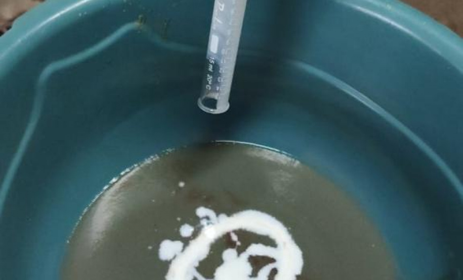 Em quatro meses, rios do Paraná são repovoados com 500 mil peixes nativos. Foto: SEDEST