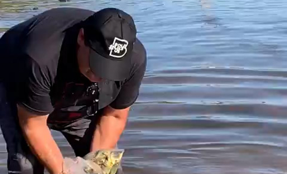 Em quatro meses, rios do Paraná são repovoados com 500 mil peixes nativos. Foto: SEDEST