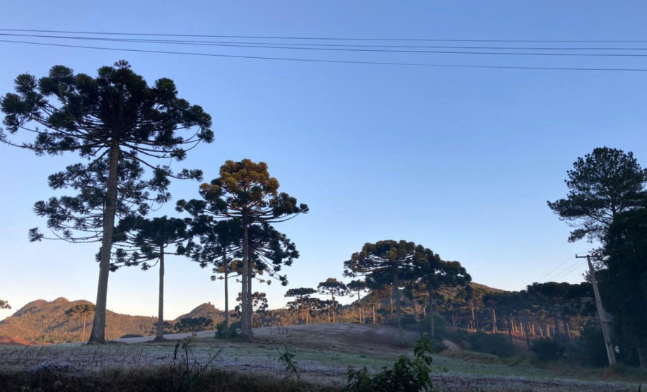 -3,3°C. Esta é a temperatura mais baixa registrada no Paraná em 2021, atingida nesta terça-feira (25) em General Carneiro, na região Sul do Estado. Outros três municípios também registraram temperaturas mínimas negativas: Guarapuava (-0,4°C), Palmas (-1,2°C) e São Mateus do Sul (-1,9°C). As informações são do Sistema de Tecnologia e Monitoramento Ambiental do Paraná (Simepar).  -  Curitiba, 25/05/2021  -  Foto: Ana Tigrinho/AEN