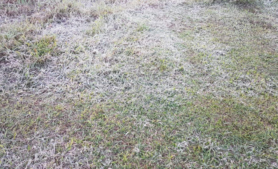 Paraná registra novas temperaturas negativas com a mais intensa massa de ar frio do ano. Foto: Alessandro Vieira/AEN