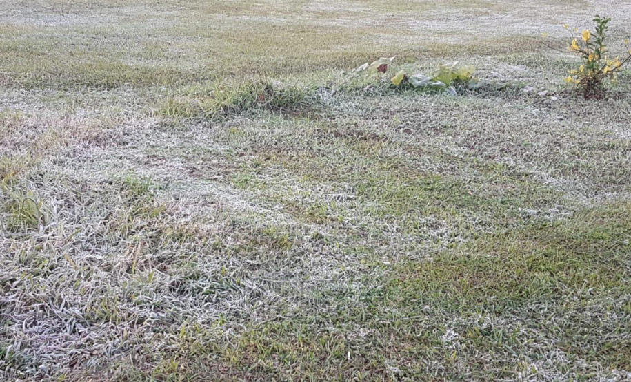 Paraná registra novas temperaturas negativas com a mais intensa massa de ar frio do ano. Foto: Alessandro Vieira/AEN