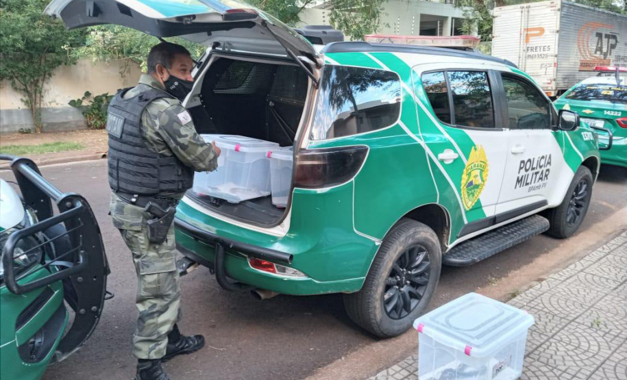 Animais de espécimes nativas e exóticas foram apreendidos durante cumprimento de mandados de busca e apreensão em Maringá, no Noroeste do Estado, nesta terça-feira (25). A operação contou com o apoio do Batalhão de Polícia Ambiental ? Força Verde. - Foto: ROTAM/Batalhão de Polícia Ambiental ? Força Verde.