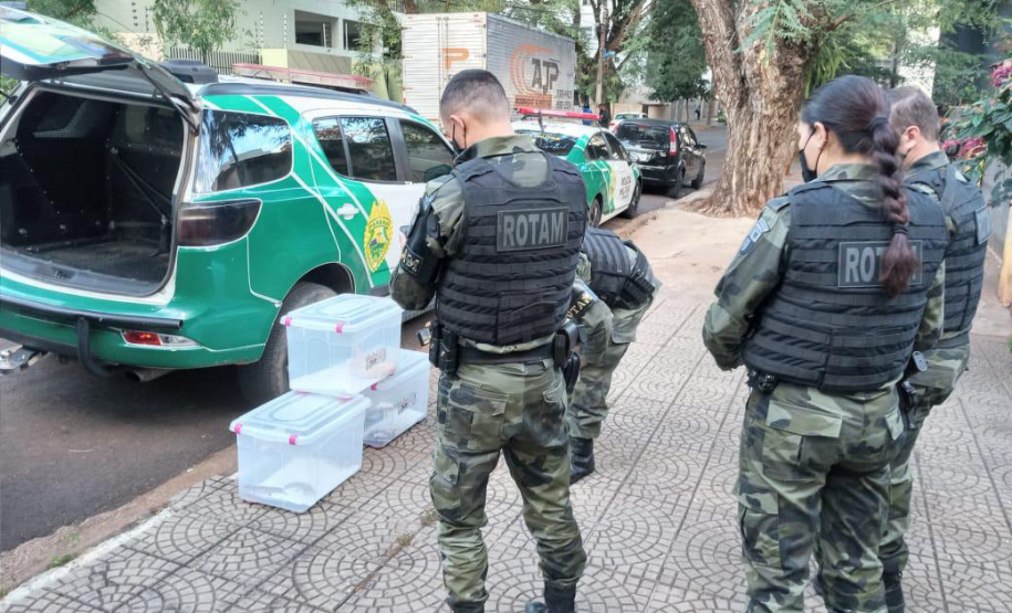 Animais de espécimes nativas e exóticas foram apreendidos durante cumprimento de mandados de busca e apreensão em Maringá, no Noroeste do Estado, nesta terça-feira (25). A operação contou com o apoio do Batalhão de Polícia Ambiental ? Força Verde. - Foto: ROTAM/Batalhão de Polícia Ambiental ? Força Verde.