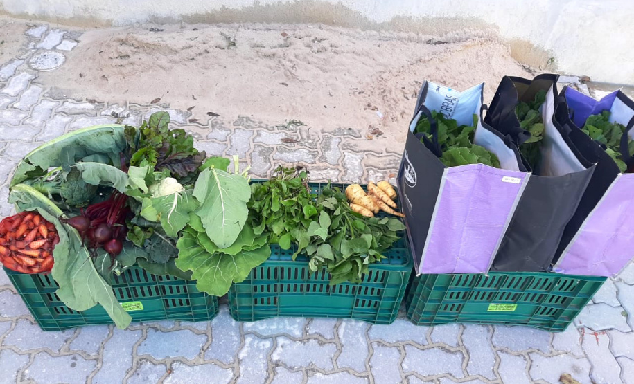 O Governo do Estado desenvolve o projeto Cestas Solidárias, por meio do IDR-Paraná (Instituto de Desenvolvimento Rural do Paraná Iapar-Emater), em parceria com universidades, na Região Metropolitana de Curitiba. - Foto: IDR