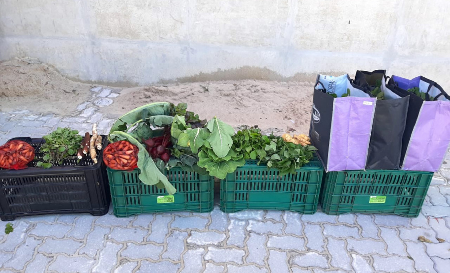 O Governo do Estado desenvolve o projeto Cestas Solidárias, por meio do IDR-Paraná (Instituto de Desenvolvimento Rural do Paraná Iapar-Emater), em parceria com universidades, na Região Metropolitana de Curitiba. - Foto: IDR