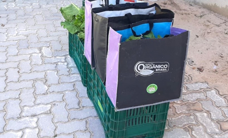 O Governo do Estado desenvolve o projeto Cestas Solidárias, por meio do IDR-Paraná (Instituto de Desenvolvimento Rural do Paraná Iapar-Emater), em parceria com universidades, na Região Metropolitana de Curitiba. - Foto: IDR