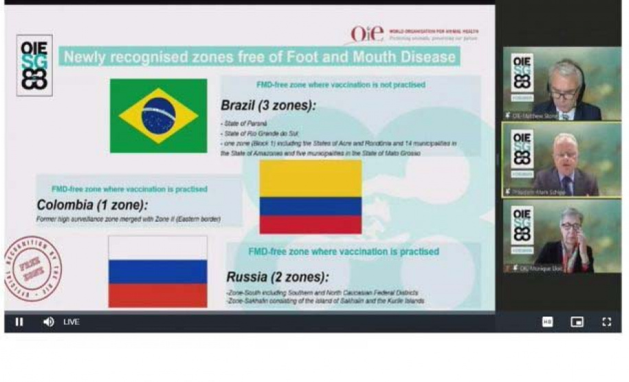 O Paraná conquistou na manhã desta quinta-feira (27) a certificação de área livre de febre aftosa sem vacinação, resultado de uma luta de mais de 50 anos do Governo do Estado e do setor produtivo. O novo status sanitário foi confirmado pela Organização Mundial de Saúde Animal (OIE), em cerimônia virtual da 88ª Sessão Geral da Assembleia Mundial dos Delegados da OIE, em Paris, na França. - Curitiba, 27/05/2021 - Foto: Site da Organização Mundial de Saúde Animal (OIE)