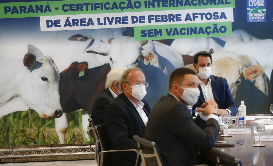 “Esse é o maior anúncio para o agronegócio paranaense nos últimos 50 anos”. Esse é o sentimento do governador Carlos Massa Ratinho Junior ao comemorar o novo status de área livre de febre aftosa sem vacinação, concedido pela Organização Mundial da Saúde Animal (OIE) nesta quinta-feira (27). Foto: Jonathan Campos/AEN