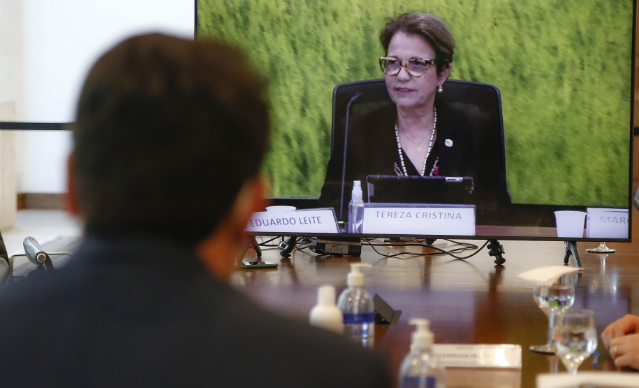 “Esse é o maior anúncio para o agronegócio paranaense nos últimos 50 anos”. Esse é o sentimento do governador Carlos Massa Ratinho Junior ao comemorar o novo status de área livre de febre aftosa sem vacinação, concedido pela Organização Mundial da Saúde Animal (OIE) nesta quinta-feira (27). Foto: Jonathan Campos/AEN